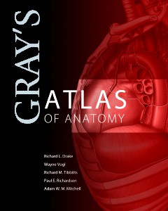 Gray's Atlas of Anatomy: Vogl, Mitchell, Tibbitts Cena: 72€